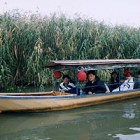 秋の日帰り旅行　2002.10.26 水郷めぐり