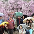 春の日帰り旅行　兵庫 2006年4月15日（土） 〜 姫路城と灘の酒蔵 〜