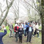 春の日帰り旅行　～吉野山～ 2008年4月10日(木)