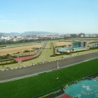 アーリントンカップ競馬観戦 2009年2月28日（土） 阪神競馬場