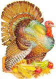 turkey01