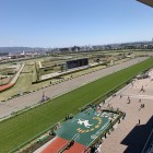 IMG_0031